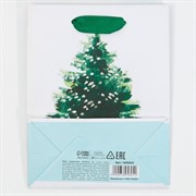 Пакет ламинированный Морозная свежесть 12х15х5,5см - фото 66918