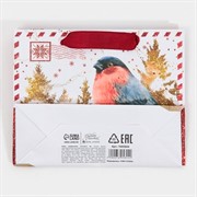 Пакет ламинированный Новогодняя бандероль 15х12х5,5см - фото 66922