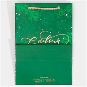 Пакет ламинированный Яшма 21х30х15см - фото 66928