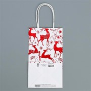 Пакет крафт Яркие краски 12х21х9см - фото 66936