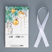 Пакет подарочный с лентой Вьюга 13х23х7см - фото 66940