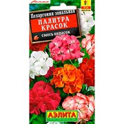 Пеларгония Палитра красок - фото 67045 Пеларгония Палитра красок - фото 67045