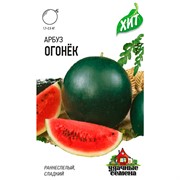 Арбуз Огонёк 1 гр ХИТ - фото 67053