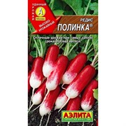 Редис Полинка - фото 67070