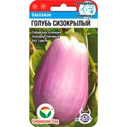 Баклажан Голубь сизокрылый 20шт - фото 67077