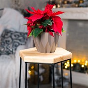 Подставка напольная для цветов металл с деревом Лофт высота 75см 66-410 - фото 67213