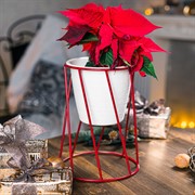 Подставка на 1 цветок Лофт на подоконник красная металл 66-605-Red - фото 67222