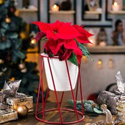 Подставка на 1 цветок Лофт на подоконник красная металл 66-605-Red - фото 67223
