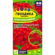 Гвоздика Алая красавица 0,2гр - фото 67244