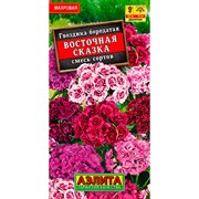 Гвоздика турецкая Восточная сказка - фото 67250