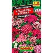 Гвоздика турецкая Красавица востока - фото 67251