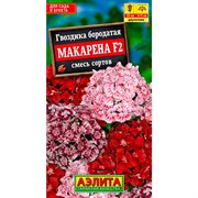 Гвоздика турецкая Макарена F2 смесь - фото 67253