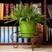 Цветочница напольная Классика на 1 цветок кованая высота 22см 70-151 - фото 67262