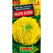 Бархатцы прямостоячие Мари Хелен - фото 67267