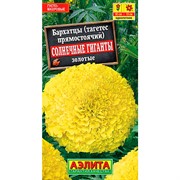 Бархатцы Солнечные гиганты золотые - фото 67268