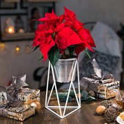 Подставка на подоконник на 1 цветок Лофт белая металл 66-603-W - фото 67294