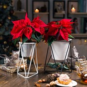 Подставка на подоконник на 1 цветок Лофт белая металл 66-603-W - фото 67296