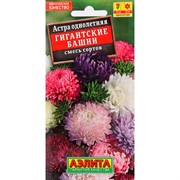 Астра Гигантские башни смесь - фото 67300
