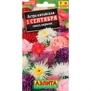 Астра 1 сентября смесь - фото 67301