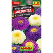 Астра Андромеда смесь - фото 67304