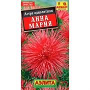 Астра Анна Мария - фото 67305