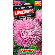 Астра Аполлония яблоневый цвет - фото 67306
