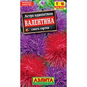 Астра Валентина - фото 67307