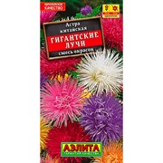 Астра Гигантские лучи смесь - фото 67308