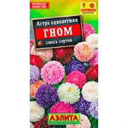 Астра Гном смесь - фото 67309