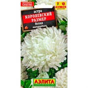 Астра Королевский размер белая - фото 67314