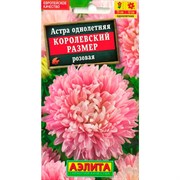 Астра Королевский размер яблоневый цвет - фото 67316