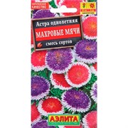 Астра Махровые мячи смесь - фото 67317