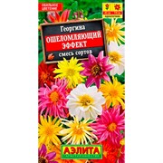Георгина Ошеломляющий эффект смесь - фото 67322