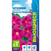 Ипомея Кримсон Рамблер 0,5гр - фото 67323