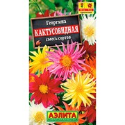 Георгина Кактусовидная смесь - фото 67327