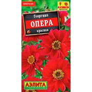 Георгина Опера красная - фото 67329