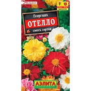 Георгина Отелло смесь - фото 67330