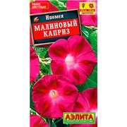 Ипомея Малиновый каприз - фото 67337