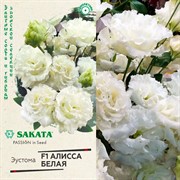 Эустома Алисса белая 4шт - фото 67344