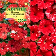 Петуния Млечный путь ред F1 7шт - фото 67345