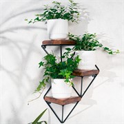 Подставка Лофт кованая 3 полки металл+дерево длина 54см 66-503 - фото 67358 Подставка Лофт кованая 3 полки металл+дерево длина 54см 66-503 - фото 67358