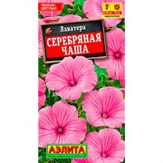 Лаватера Серебряная чаша - фото 67362