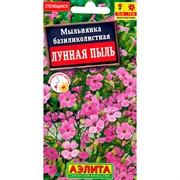 Мыльнянка Лунная пыль - фото 67371