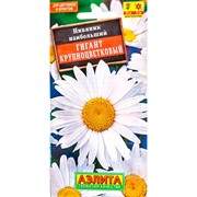 Нивяник Гигант - фото 67372