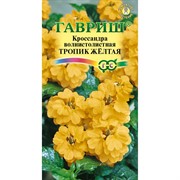 Кроссандра Тропик жёлтая 3шт - фото 67379