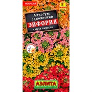 Алиссум Эйфория смесь - фото 67395