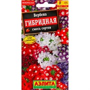 Вербена гибридная смесь - фото 67400