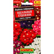 Вербена Идеальный Художник - фото 67401