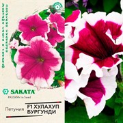 Петуния Хулахуп бургунди 5шт - фото 67411