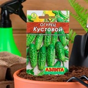 Огурец Кустовой - фото 67417